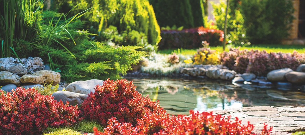 Gartenmöbelgeschäft