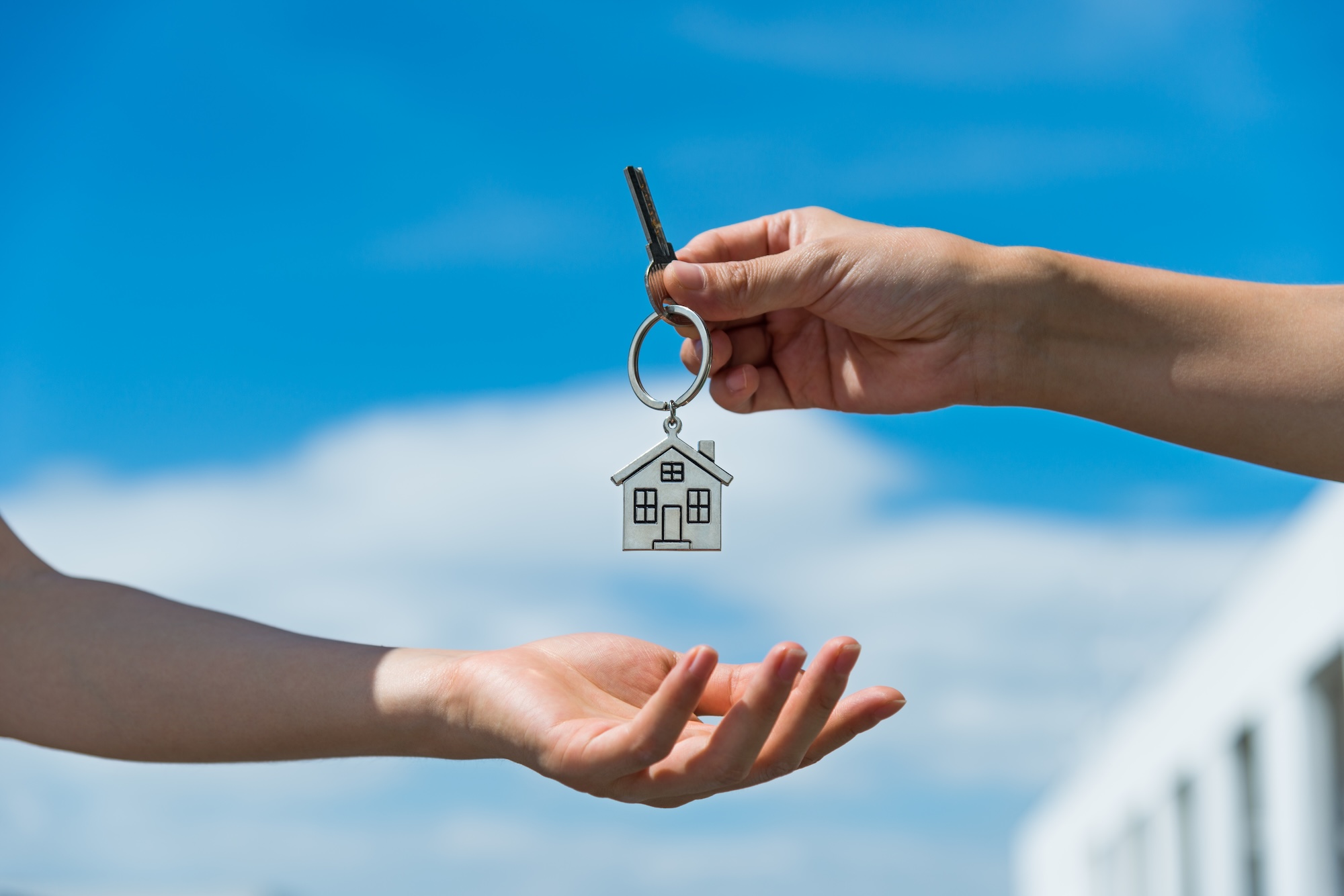 Immobilienmakler